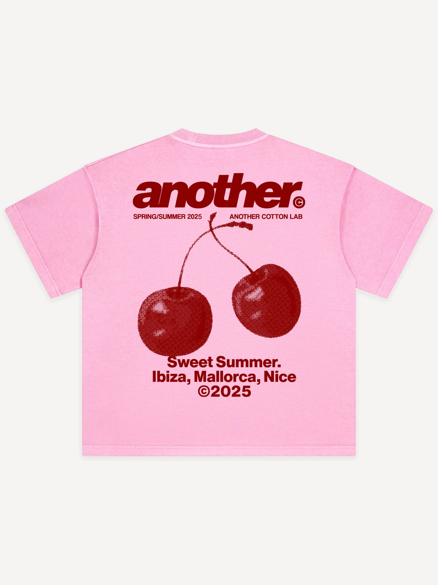 Another Sweet Summer 2025 Edition Oversized T-Shirt - Image 5